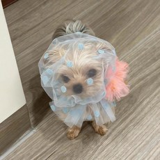 윤화마켓 강아지커버 양봉모자 해충방지 페이스, 블루 신축성 4-7.5kg, 1개
