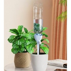 STAR UP 화분 자동 급수기 화이트, 24개