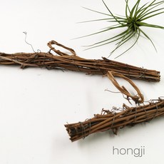 藤環衣架 空鳳裝飾花環 土伏藤捕夢網DIY藤編花圈 田園鄉村拍攝道具 聖誕節裝飾