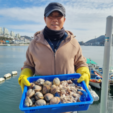 1% 프리미엄 전남 여수 완전손질 생물 초코 새조개, 1박스, 200g