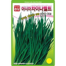 아시아차이나벨트 부추 씨앗 20g 차이나벨트 연중재배 부추씨 종자, 1개