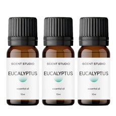 향기제작소 퓨어 에센셜오일, 3개, 10ml, 유칼립투스