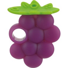 利其爾Richell蔬果咬咬固齒器附收納盒(多款可選) 安撫玩具 寶寶固齒器