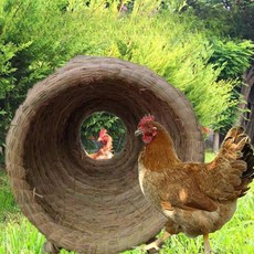 닭산란통 닭 둥지 집 산란 바구니 산란장 볏짚 닭알 닭알낳는집 토끼 은신처, 항아리 둥지 (통풍형)