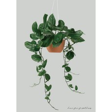 식물 플랜테리어 감각있는 인테리어 사진 포토 액자 홈인테리어 방꾸미기 카페 포스터 A2 A3 A4 01, 05