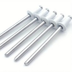 50PCS 흰색 페인트 리벳 알루미늄 패스너 블라인드 산업 DIA1 장식 라운드 강철