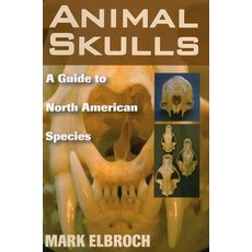 (영문도서)Animal Skulls Paperback, Stackpole Books, English, 9780811733090
