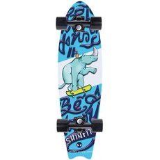 스케이트 보드 입문자 숏 연습용 초보자 짧은, 1