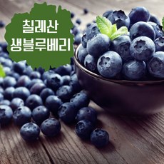 [2025년 생산] 크고 탱글한 칠레산 프리미엄 생 블루베리 선도최고 산지직송, 1세트, 125g