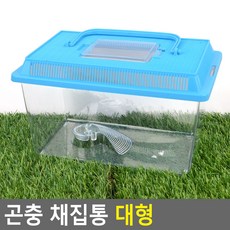 정 추천제안스토어 곤충 채집통 대형 햄스터