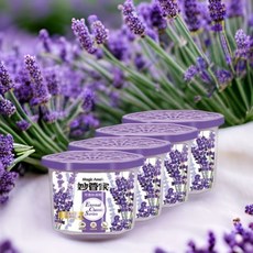 妙管家 芳香除濕盒, 1套, 淡雅薰衣草, 400L