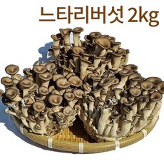 국내산 무농약 친환경 느타리버섯 2kg (200gx10팩) 외 다른 중량 및 포장 선택가능, 2.4kg (200gx12봉지)