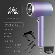 DFMEI 헤어 드라이어 가정용 헤어 드라이어 고출력 음소거 강풍 음이온 헤어 드라이어, 네온 퍼플, 800w 콜라겐 + 음이온