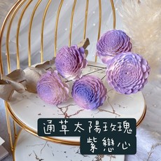 大地農場 太陽玫瑰 乾燥花素材, 漸層色Mini版本寬約2.5公分*2入
