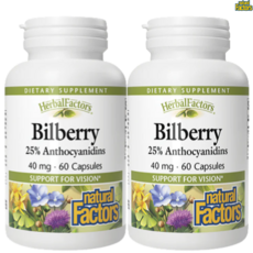 네추럴팩터스 빌베리 40mg 캡슐, 2개, 60정