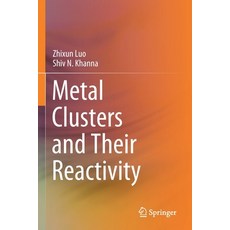 (영문도서) Metal Clusters and Their Reactivity Paperback, Springer, English, 9789811597060