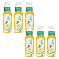 東方樹葉 茉莉花茶 500ML, 6個, 1個裝