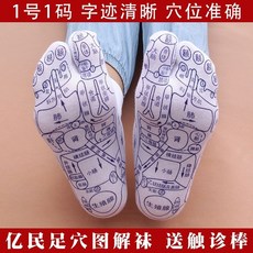 발반사구 모형 지압표 마네킹 점혈 인체 발, 억민패 와 촉진봉, 코드 41