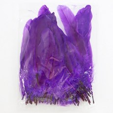 자연깃털보라 대 거위, 1봉