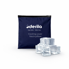 Derila 데릴라 에르고 메모리폼 경추베개 3D 인체공학 목베개 수면베개 딥슬립 꿀잠, 1개, 쿨링 커버 추가 구매