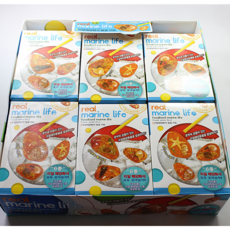 리얼해양화석발굴키트-랜덤/낱개판매 발굴하기 화석놀이 어린이집선물 판촉물선물 크리스마스선물 유치원선물