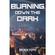 (영문도서) Burning Down the Dark Paperback, Glass Fish Publishing, English, 9781735618166