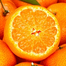 [5일간초특가] 마지막수확 고당도 제주도 천혜향, 1개, 10kg