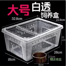 파충류 사육 상자 탈출 방지 이중문 수생용 소형 중형 대형 거미 및 애호가용 할로윈 선물, 01 L