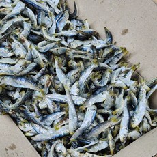 오늘의바다 남해안 햇 솔치 육수용 청어새끼 1.5kg 정어리 국물 다시 (당해 생산), 1개