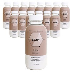 단백질쉐이크 선식 웰프로틴, 15개, 40g