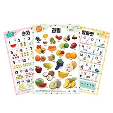 라미에이스 양면학습벽보 5종(520x765mm), 1개