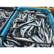 동해 제철 양미리 A급, 1개, 1kg