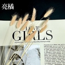 花藝夢*進口兔尾草 10支販售 兔尾草 乾燥花 永生花 不凋花 乾燥花材 配花 台灣現貨 高CP值 迷你小花 花束配花, 亮橘