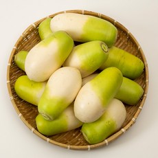 초록초록팜 세척 제주 월동무 제주산 국산무 손질 겨울무 바로조리 제철, 1박스, 20kg(16-17개)