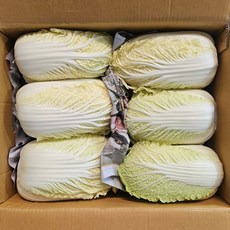 클릭마켓 알배추 쌈배추 알배기 배추 특품, 3개, 500g
