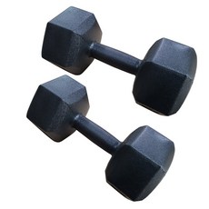 대한스포츠 육각아령, 4kg, 2개