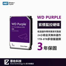 Western Digital WD Purple 3.5英寸 SATA接口 安防錄像機械硬盤, 紫標 1TB, 1TB