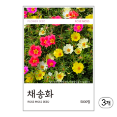 채송화 씨앗 5000립, 3개