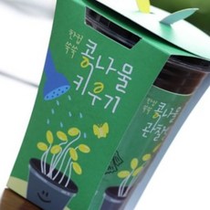 새싹키트 시루 관찰일지 재배 한컵쑥쑥 콩나물키우기