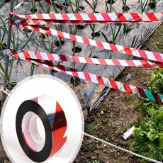 다온58 조류퇴치 테이프 100m 아파트베란다