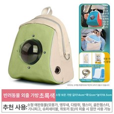 슈가글라이더 날다람쥐 여행용 가방 햄스터 앵무새 애완동물 새 조류 소형 동물 경량 휴대용 통기성 용품 반려동물 캐리어, 1개, 초록색 소형 보온 외출 가방