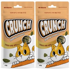 닥터뮨 크런치 덴탈 고양이스낵 이빨과자 구강관리 입냄새, 40g, 2개