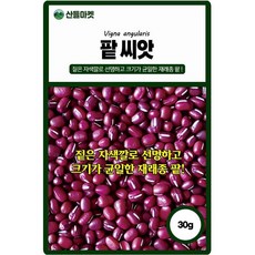 팥씨앗 30g 비타민 미네랄 식이섬유가 풍부한 재래종 국내산 팥씨 종자, 1개 1개