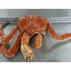 비품 못난이 러시아 킹크랩 자숙 1마리 가성비 실속형, 1개, 2kg