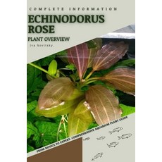 (영문도서) Echinodorus Rose: From Novice to Expert. Comprehensive Aquarium Plants Guide Paperback, Independently Published, English, 9798854015837