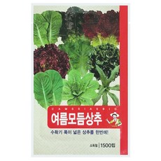 여름 모듬 상추 씨앗, 1개 1개