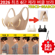 1/1+1[숨겨진 -5kg]다이어트 브라 6.0 - 상체 부피 순삭&amp; 셔츠핏 끝판왕큰 가슴 작아 보임 리프팅 슬림핏 브라 6.0리프팅 서포트 브라