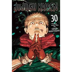 (영문도서)Jujutsu Kaisen Vol. 30 Paperback, Viz Media, English, 9781974763405