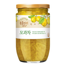 복음자리 모과차, 250g, 1개입, 2개