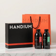 핸디엄 바닐라라떼 베이스 2종 콜드브루 선물세트 원액 선물용 패키지 커피 500mL, 1세트, 1개입